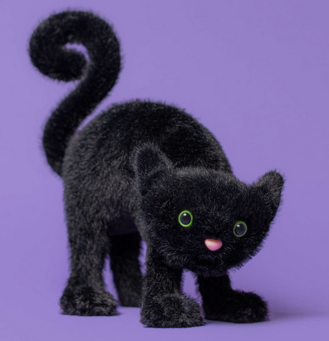 Spookipaws Cat