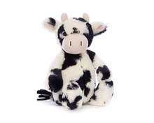 Bashful Calf Original