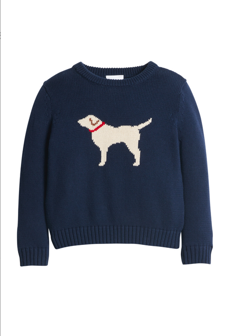 Intarsia Sweater- Boy Lab