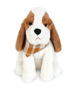 Copper Basset Hound