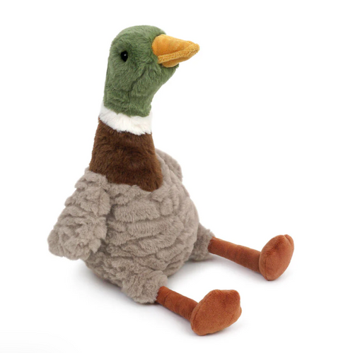 River Mallard Duck