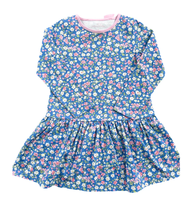 Fall Floral Knit  Drop Waist Dress