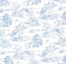 Toile De Jouy Blue 2pc Set
