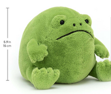 Ricky Rain Frog Medium