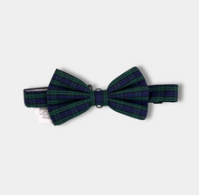 Baylor Bowtie