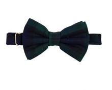 Baylor Bowtie