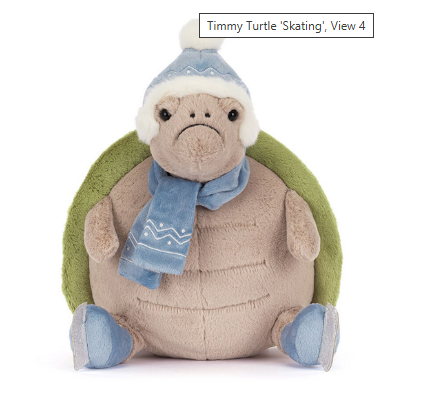 Timmy Turtle Skating