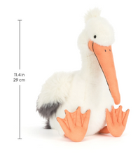 Keli Pelican