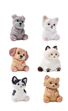 Dogs & Cats Squishy Silicone