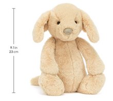 Bashful Luxe Puppy Orlando Original