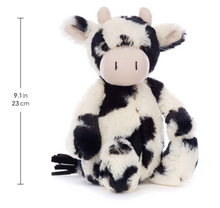 Bashful Calf Original