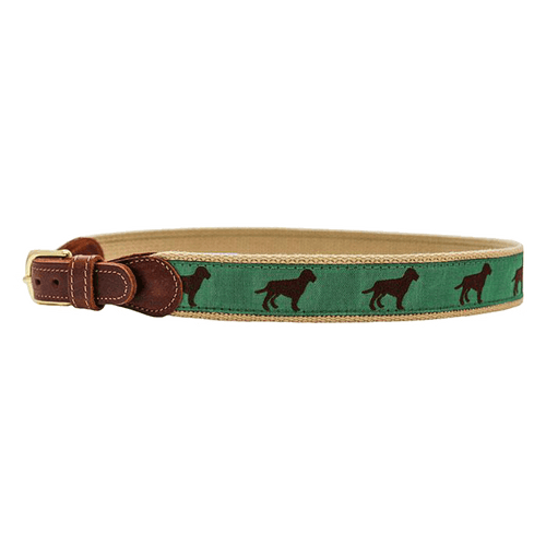 Buddy Belt in Chocolate Dog