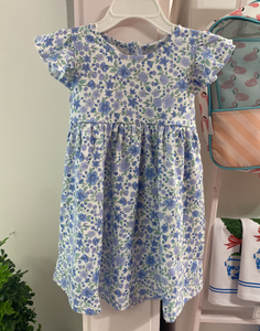 Blossom In Blue Toddler Dress