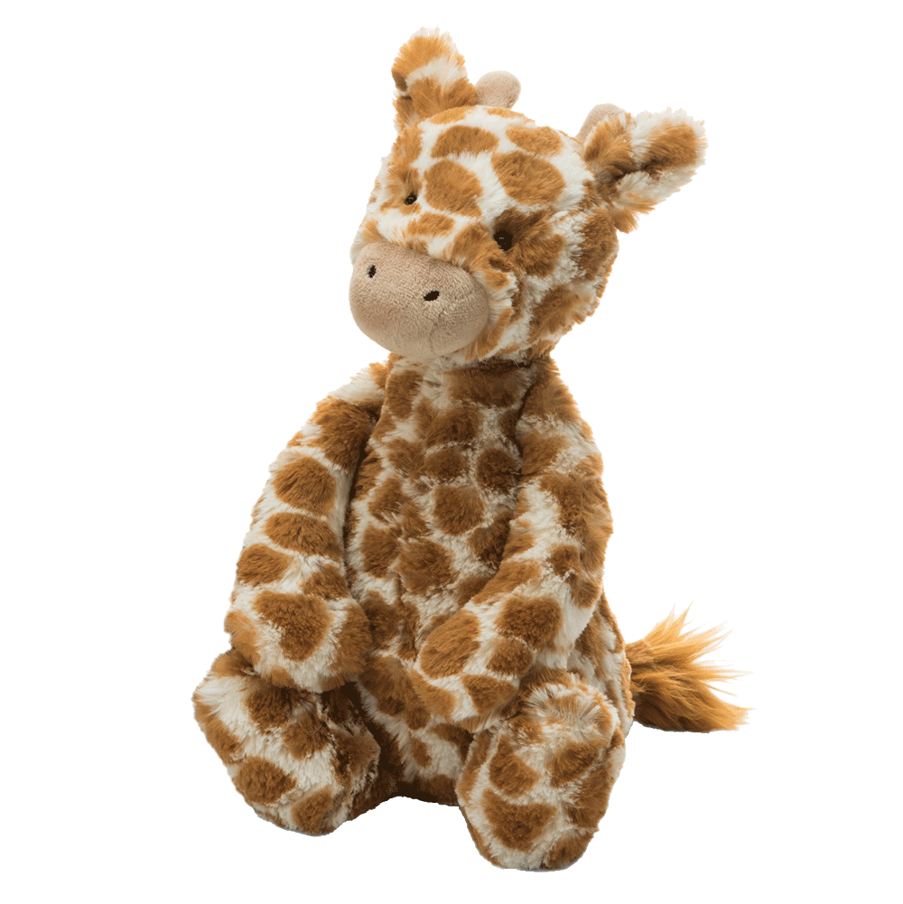 Medium Bashful Giraffe
