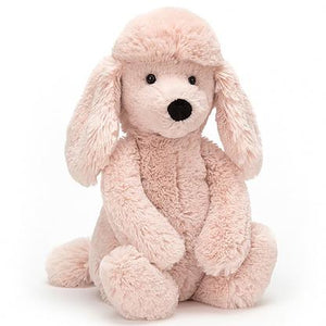 Bashful Poodle